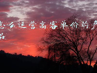 亚马逊高客单价产品(亚马逊这款新品客单价很高，4天销售5.6万美金)