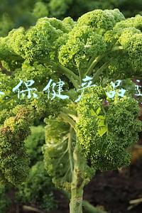 保健品线上推广方案(保健品行业广告投放推广如何做好效果？保健品推广方案有哪些？)