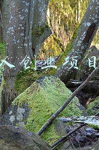 年轻人创业项目点子