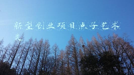 新型创业项目点子艺术类