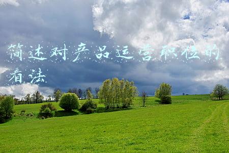对竞选职位的看法(竞聘上岗让我迎来新天地)