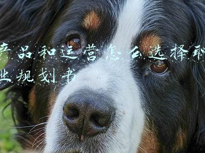 产品和运营怎么选择职业规划书 产品和运营怎么选择职业规划书