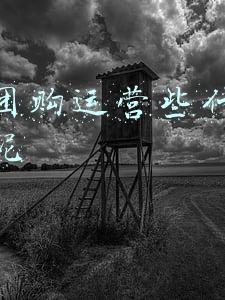 社区团购运营些什么产品好呢 社区团购运营些什么产品好呢