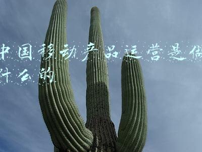 中国移动有哪些业务和产品(中信证券点评中国移动：兼具科技与消费属性的优质核心资产，5G时代增长逻辑重构，极具配置价值)