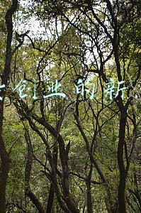 吃货创业的新点子