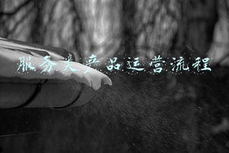 服务类产品有哪些(将贺岁拜年产品服务化)