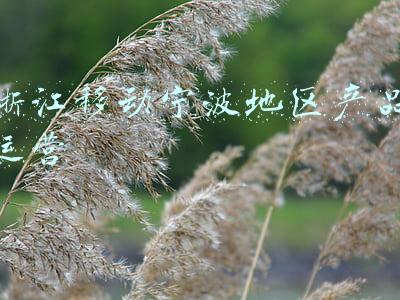 浙江移动宁波地区产品运营