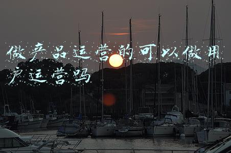 做产品运营的可以做用户运营吗
