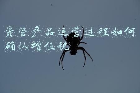 资管产品增值税的征税范围如何确定(资管产品增值税政策梳理)