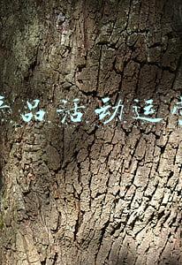 科大讯飞教育产品(1000台科大讯飞AI学习机免费送，AI教育助力因材施教)