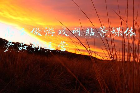 自媒体游戏领域怎么做(新手做自媒体如何确定创作领域)