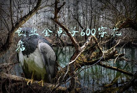 创业金点子600字花店
