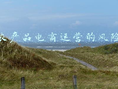 农业电商面临的三大问题(电商助农的困境与出路研究)