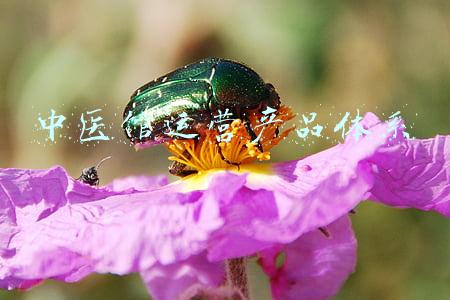 中医馆运营产品体系