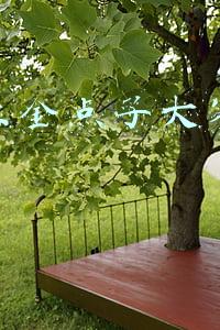 校创业金点子大赛的徽标