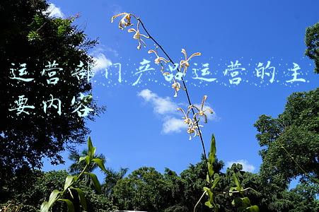 产品部门职责(传统企业里，产品经理如何与业务需求共研)