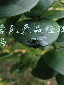 从运营到产品经理需要培训吗