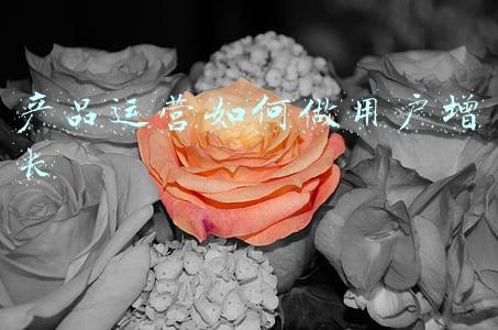 产品运营如何做用户增长