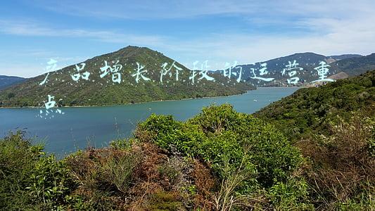 产品发展的四个阶段(互联网信息世界里元宇宙产品存在形式的几个发展阶段)