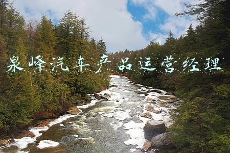 泉峰汽车产品运营经理