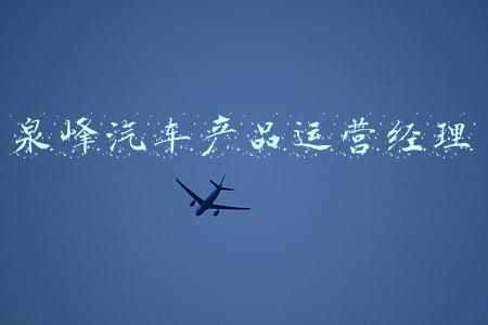泉峰汽车产品运营经理