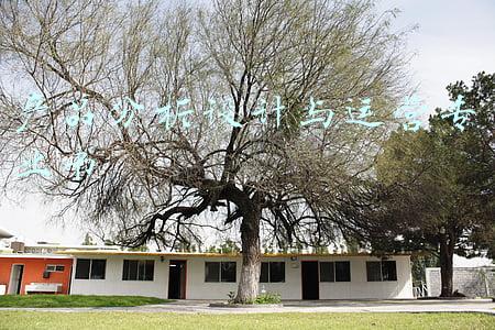 产品分析设计与运营专业书