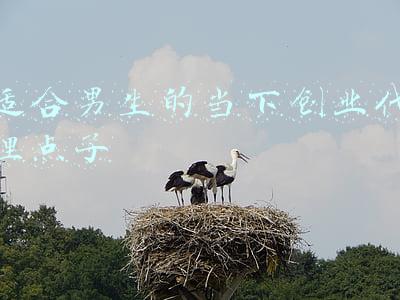 男生想创业,有什么好的推荐(男生学历不高能学的8门技术，入行门槛低，就业不错，也适合创业)