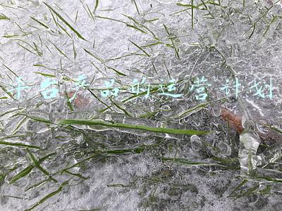 互联网平台产品合同(电商平台检索算法是否公平的审查——杭州互联网法院判决赵某诉浙江某网络公司网络服务合同案)
