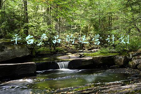 平台产品的运营计划