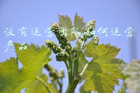 好产品找销售团队(SaaS营销：14个关键的销售资格问题，确定正确的潜在客户)