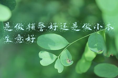 是做辅警好还是做小本生意好