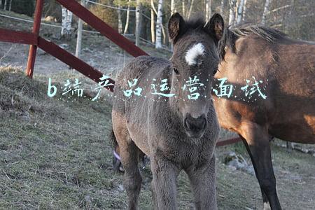 b端产品运营面试