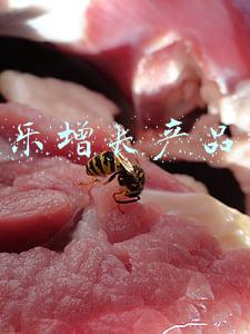 qq音乐增长产品运营