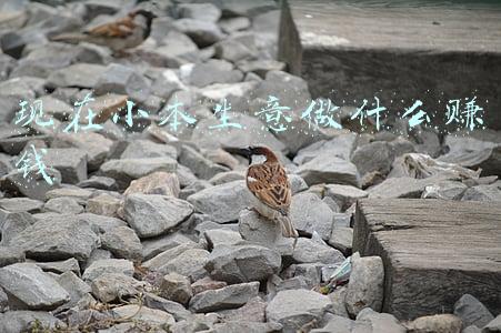 现在做啥小本生意赚钱(你见过哪些看起来不起眼，但是特别赚钱的小生意)