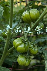 证券公司的运营管理(2021年券商财富管理盘点：从业结构大调整，经纪/投顾人数“此消彼涨”各近万人)