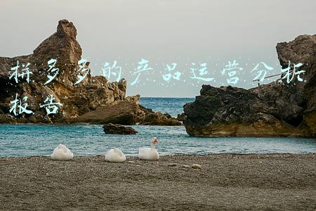 拼多多的产品运营分析报告