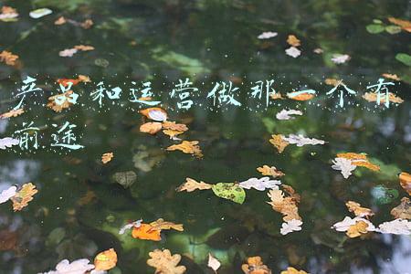 祝你那可爱的前途光明(适合发朋友圈的平安夜祝福语，温暖走心，节日快乐)