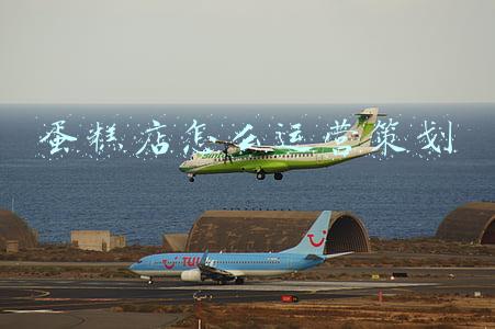 蛋糕店怎么运营策划