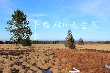 天猫店铺双十一活动方案策划与实施(2021天猫双十一什么时候开始 天猫双11活动时间表汇总)
