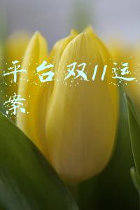 天猫双十二活动策划方案(淘宝双十二促销策略有哪些？)