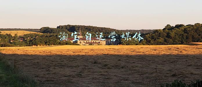 淘宝自运营媒体