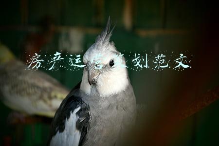 房产运营策划范文