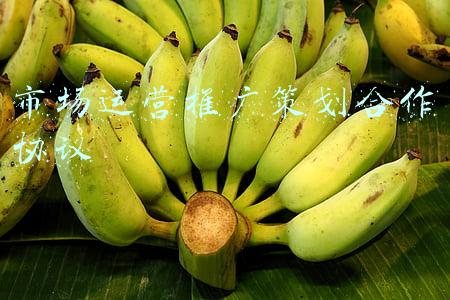 市场推广策划书(品牌推广策划书怎么写？)