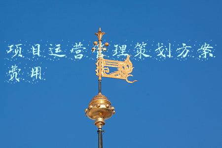 项目运营管理策划方案费用