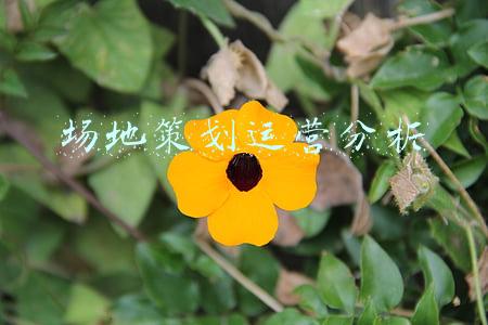 场地布置策划(礼仪庆典、年会策划、场地布置、舞台搭建、灯光音响LED屏)