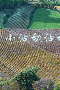 群运营小活动活动策划