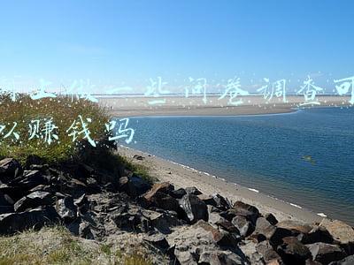 关于做调查问卷赚钱的工作的收入(做问卷调查真的可以赚到钱吗？揭秘你不知道的行业规则。)
