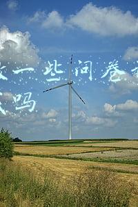 网上做一些问卷调查可以赚钱吗