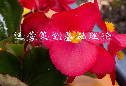 视频剪辑基础理论(剪辑的根基是理论，视频剪辑的学习也要从理论开始)