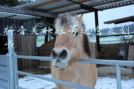 抖音美妆账号分析(（运营干货）抖音美妆类的账号应该怎么做？)